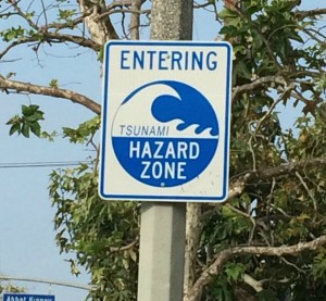 Tsunami Zone